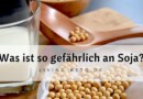 Die Wahrheit über Soja in der <mark class="searchwp-highlight">ketogenen</mark> Ernährung: Meine Erfahrungen und Fakten