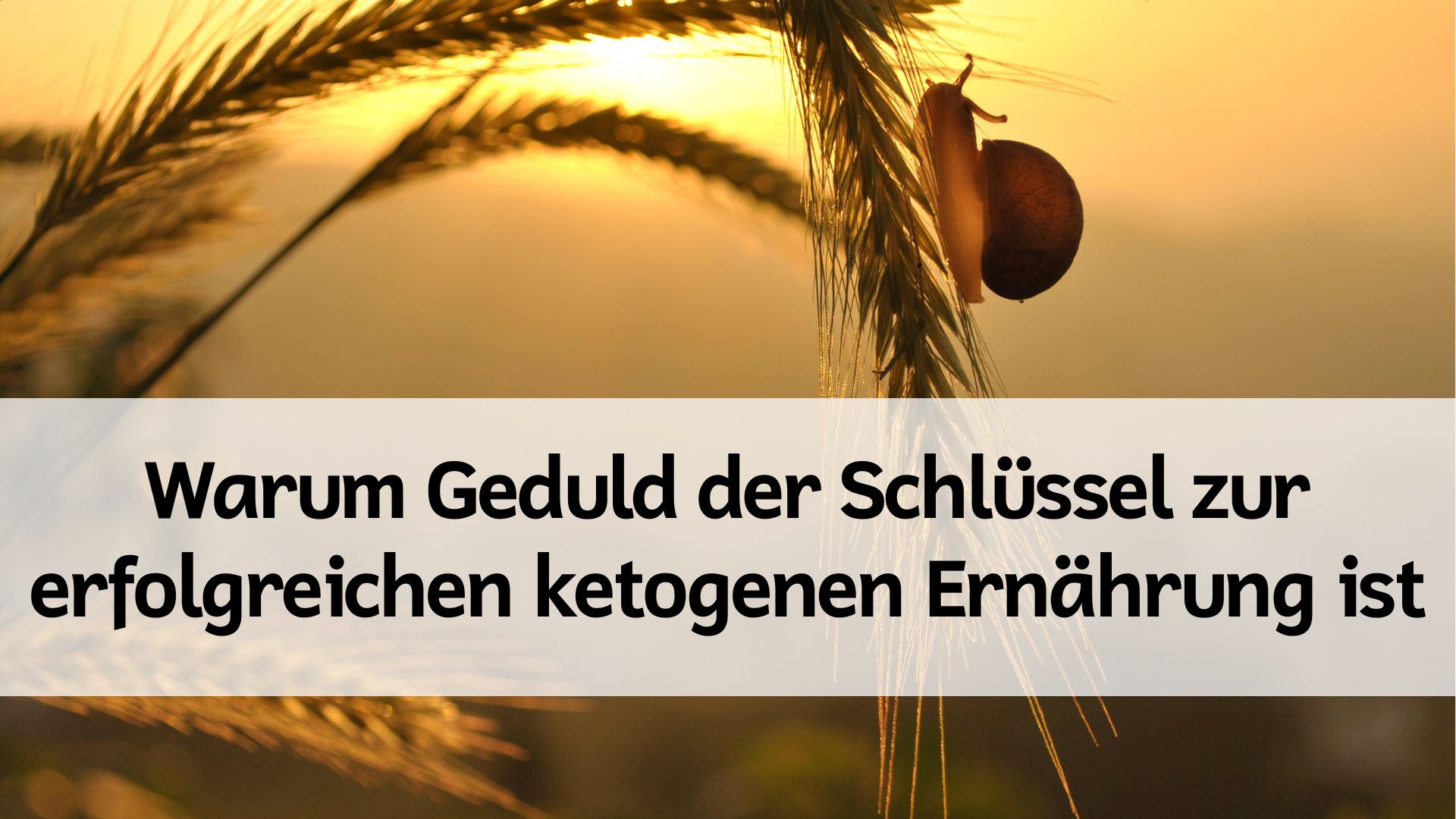 Du betrachtest gerade Warum Geduld der Schlüssel zur erfolgreichen ketogenen Ernährung ist