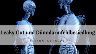 Mehr über den Artikel erfahren Leaky Gut und Dünndarmfehlbesiedlung: Ein umfassender Leitfaden