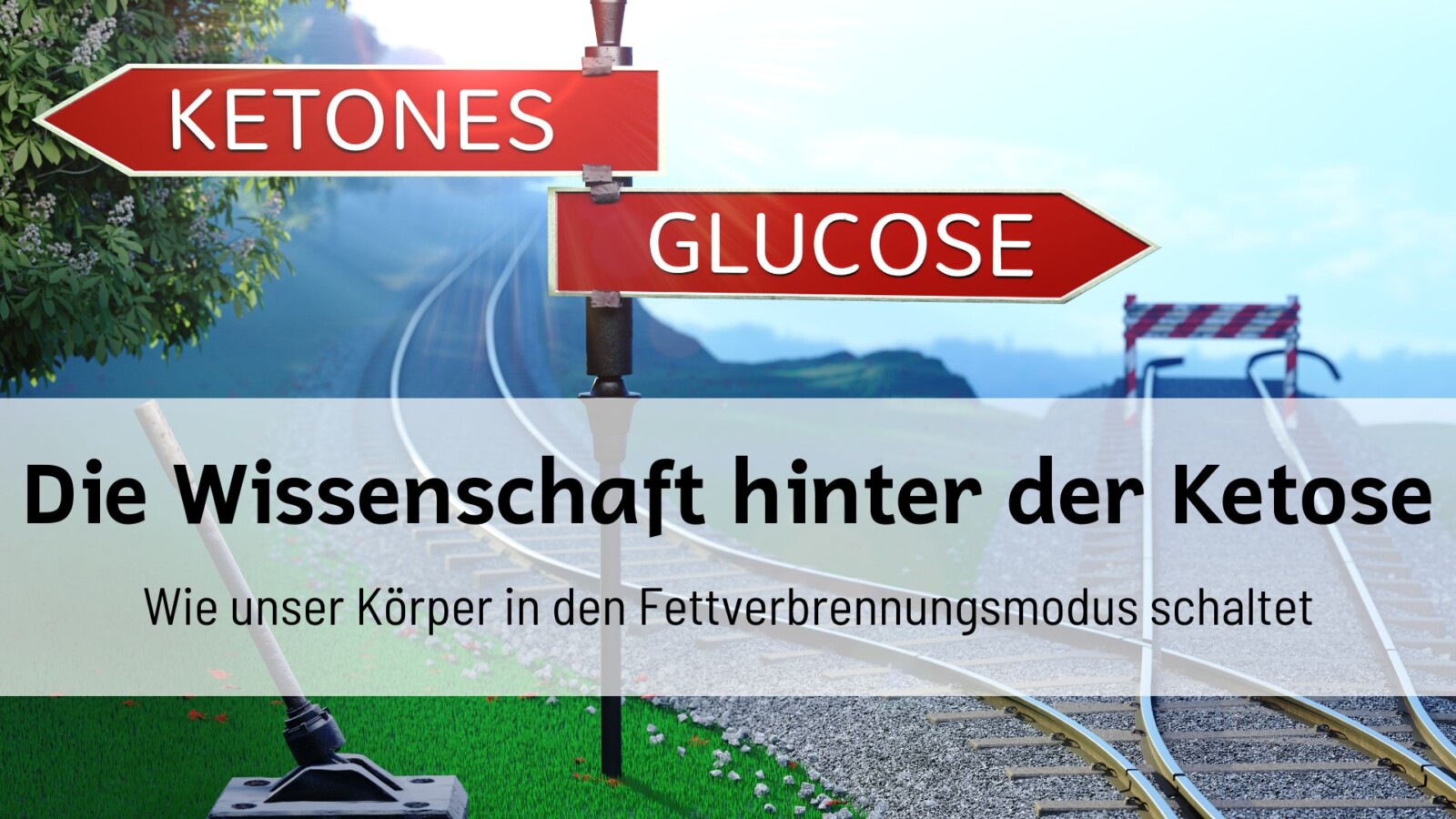Du betrachtest gerade Die Wissenschaft hinter der Ketose: Wie unser Körper in den Fettverbrennungsmodus schaltet