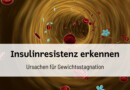 Darstellung von Blutzellen und Insulinmolekülen in einem Blutgefäß zur Veranschaulichung von Insulinresistenz und Stoffwechselprozessen.