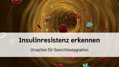 Darstellung von Blutzellen und Insulinmolekülen in einem Blutgefäß zur Veranschaulichung von Insulinresistenz und Stoffwechselprozessen.