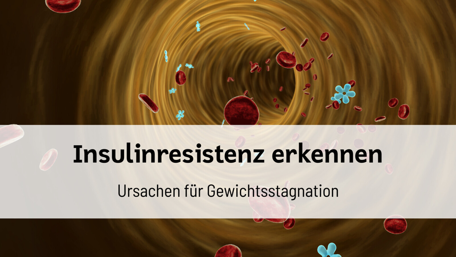 Du betrachtest gerade Insulinresistenz erkennen: Ursachen für Gewichtsstagnation